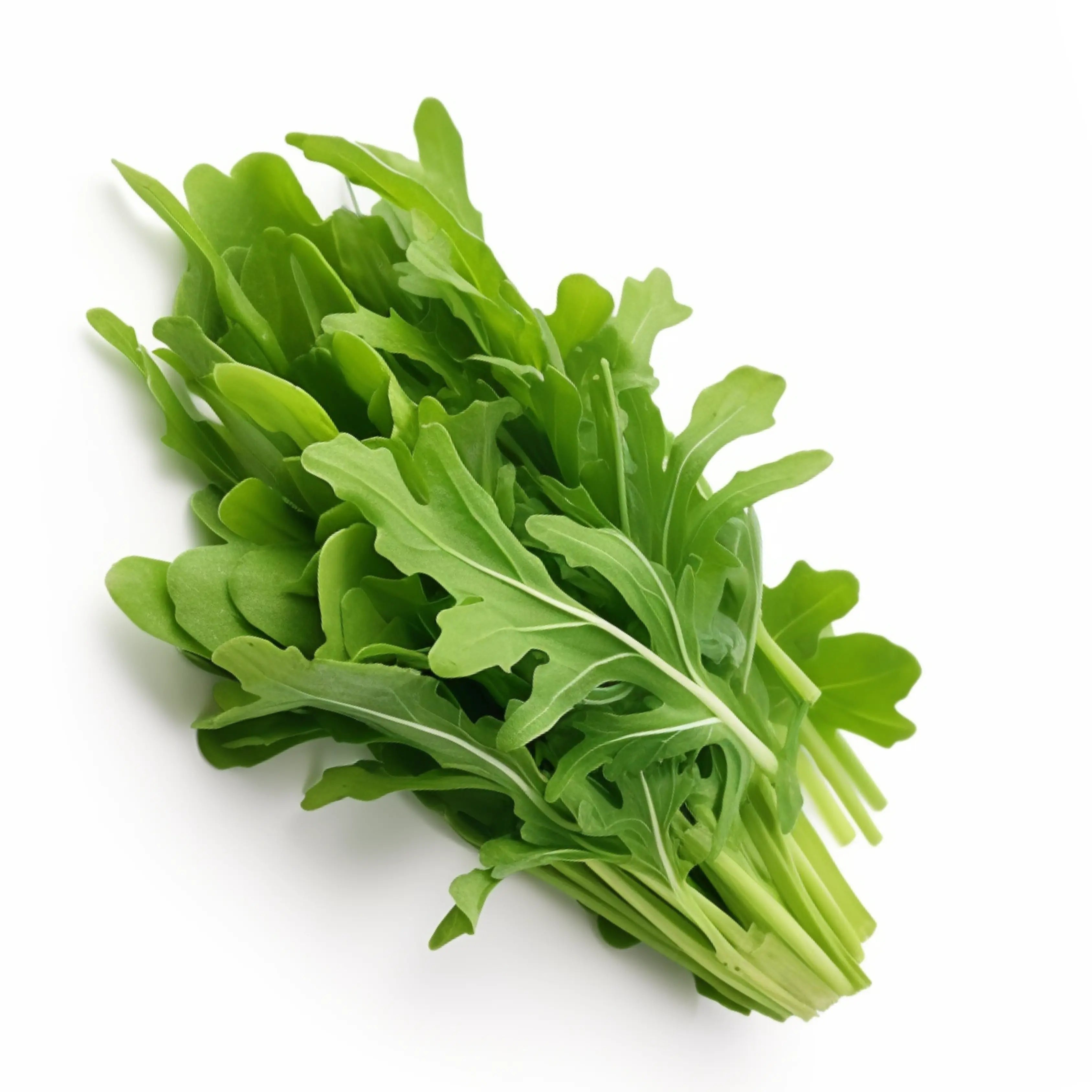 Rocket/Arugula – Beybey बेबे Farms